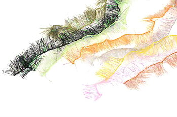 Palmer Chenille - Small