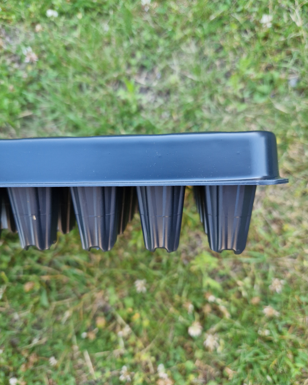 Pluggbrätte - 160 celler - Quickpot - Danish - 3