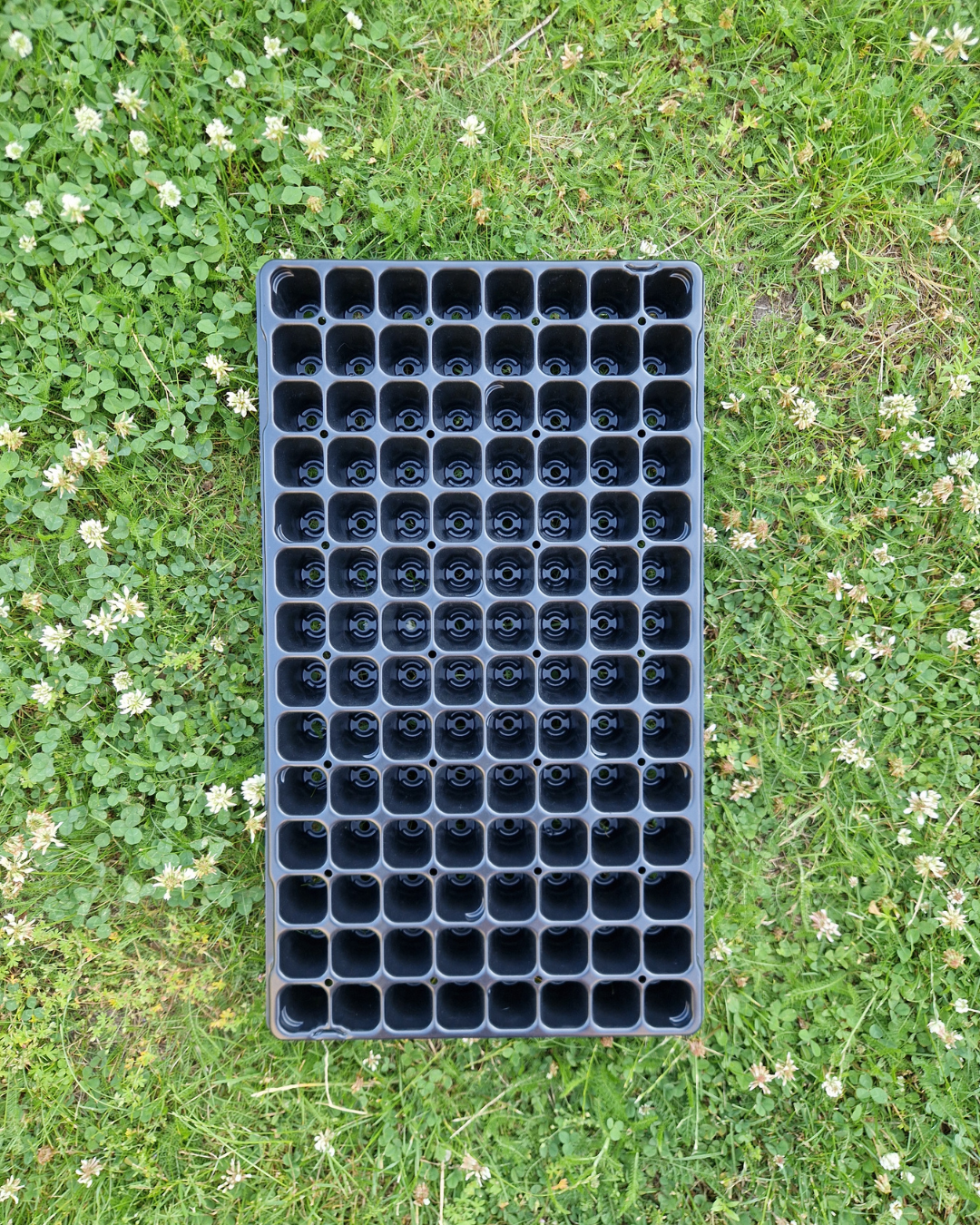 Pluggbrätte - 112 celler - Quickpot - Danish - 5