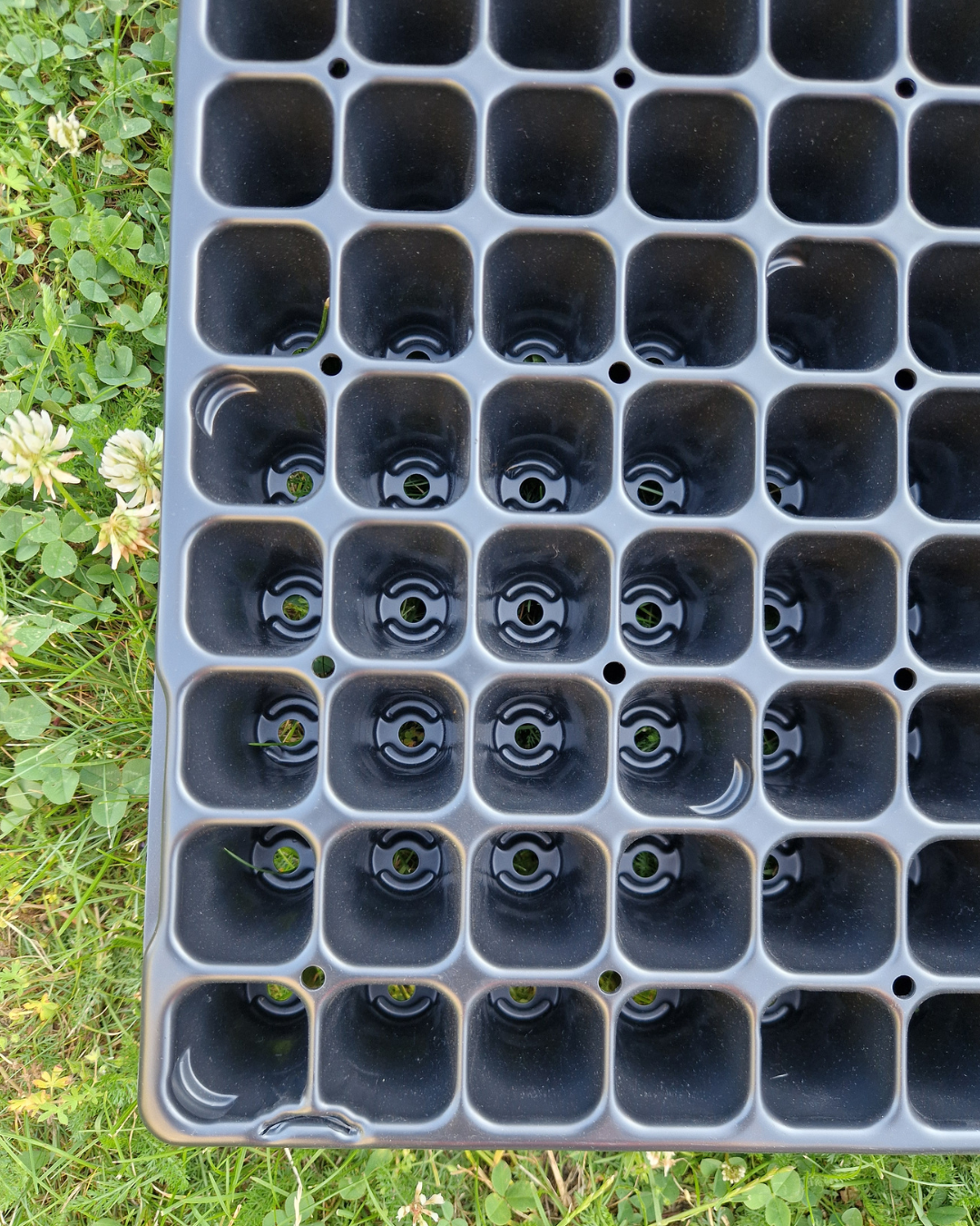 Pluggbrätte - 112 celler - Quickpot - Danish - 3