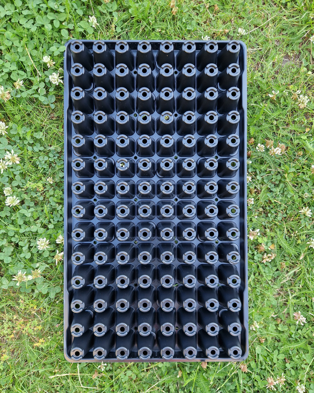 Pluggbrätte - 112 celler - Quickpot - Danish - 4
