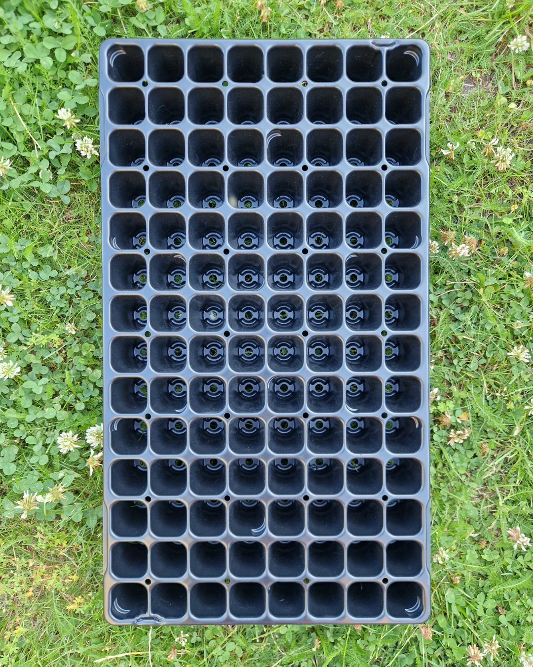 Pluggbrätte - 112 celler - Quickpot - Danish