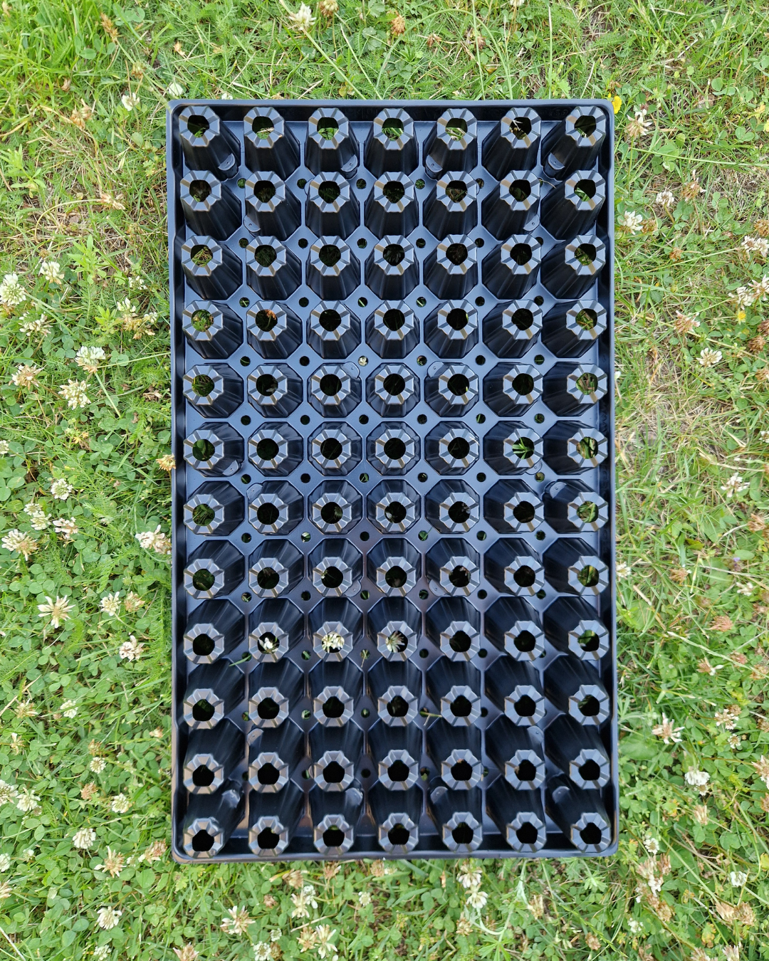 Pluggbrätte - 84 celler - Quickpot - Danish - 4
