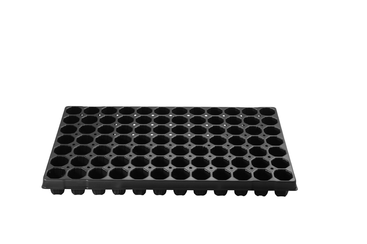 Pluggbrätte - 84 celler - Quickpot