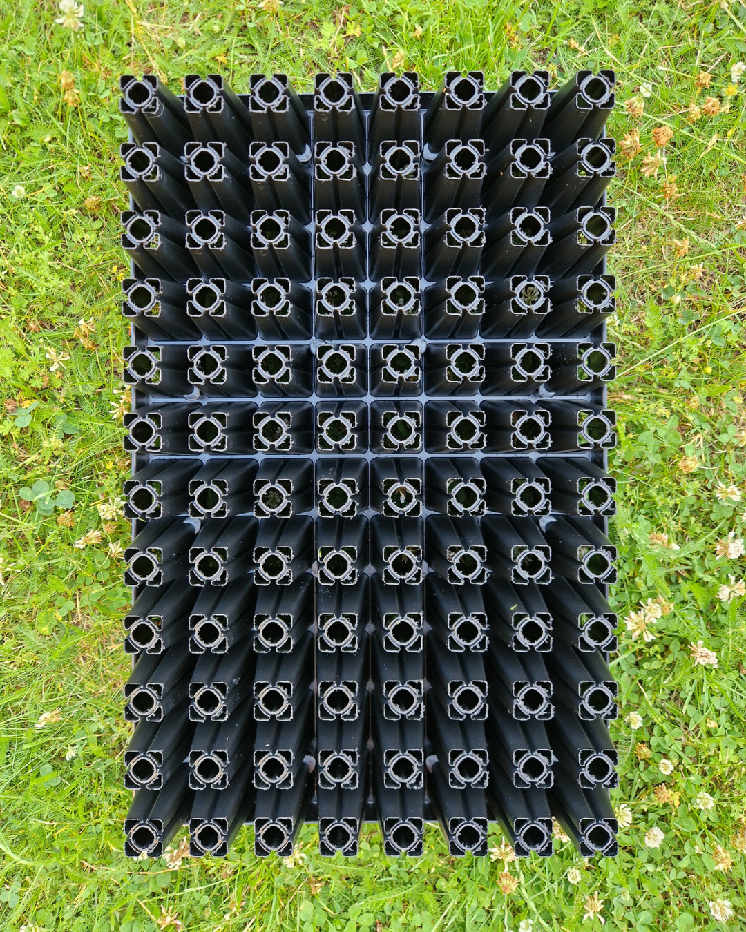 Pluggbrätte - 96 celler - Quickpot - Standard - 4