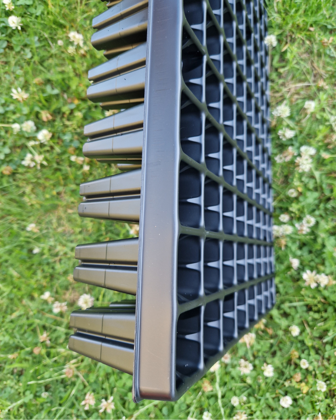 Pluggbrätte - 96 celler - Quickpot - Standard - 3