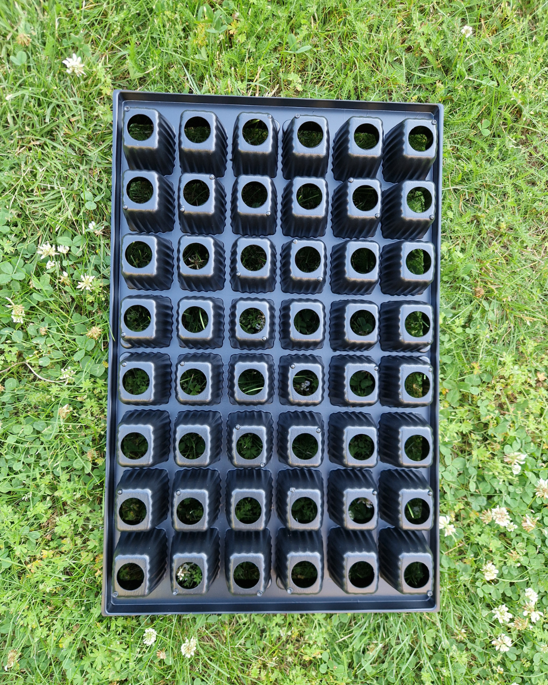 Pluggbrätte - 48 celler - Quickpot - 4