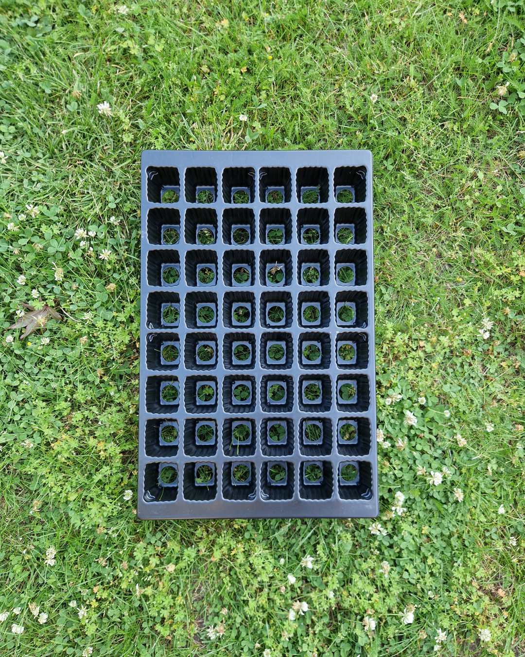 Pluggbrätte - 48 celler - Quickpot - 5