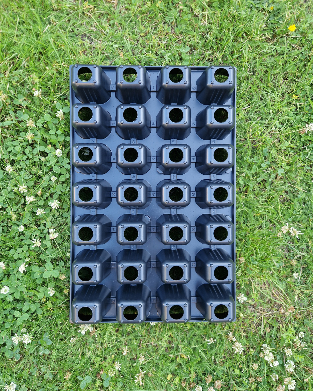 Plantbrätte - 28 celler - Quickpot - Standard - 4