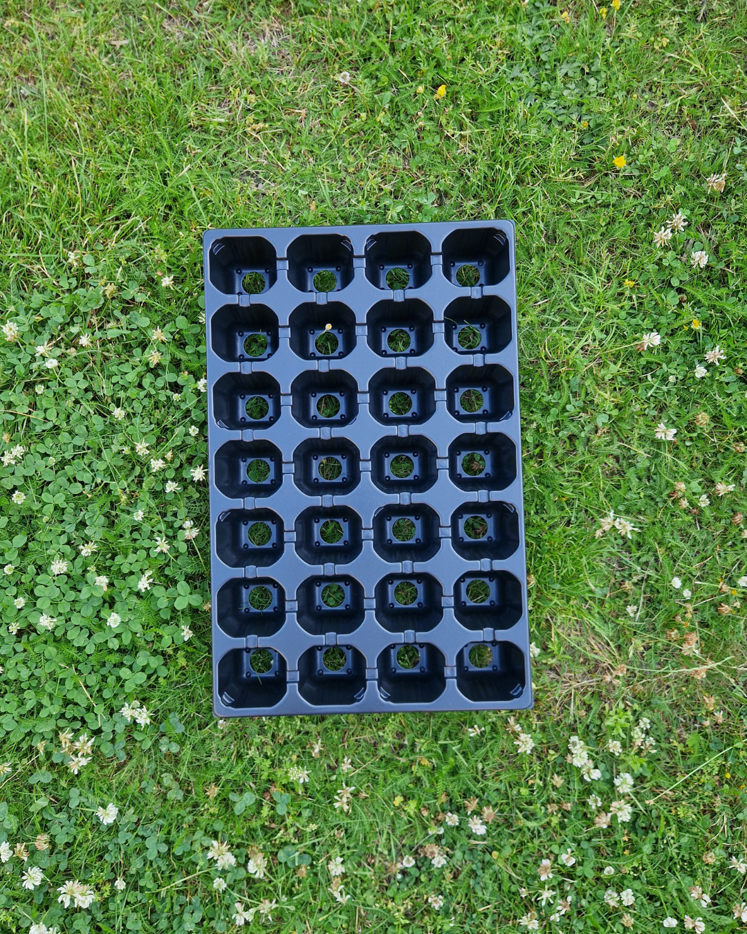 Plantbrätte - 28 celler - Quickpot - Standard - 5