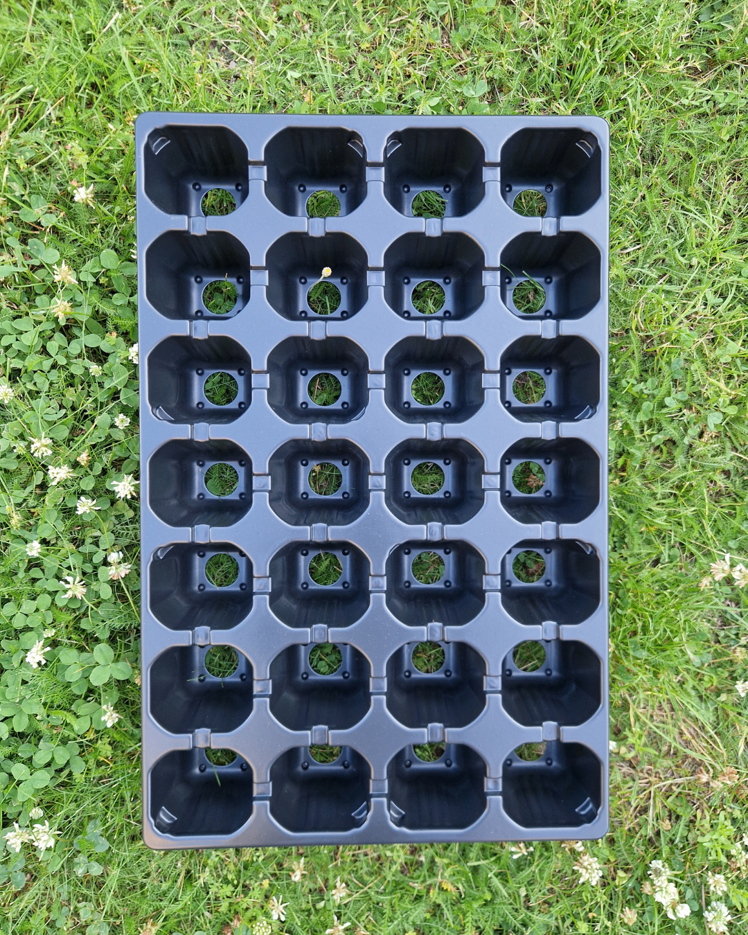 Plantbrätte - 28 celler - Quickpot - Standard