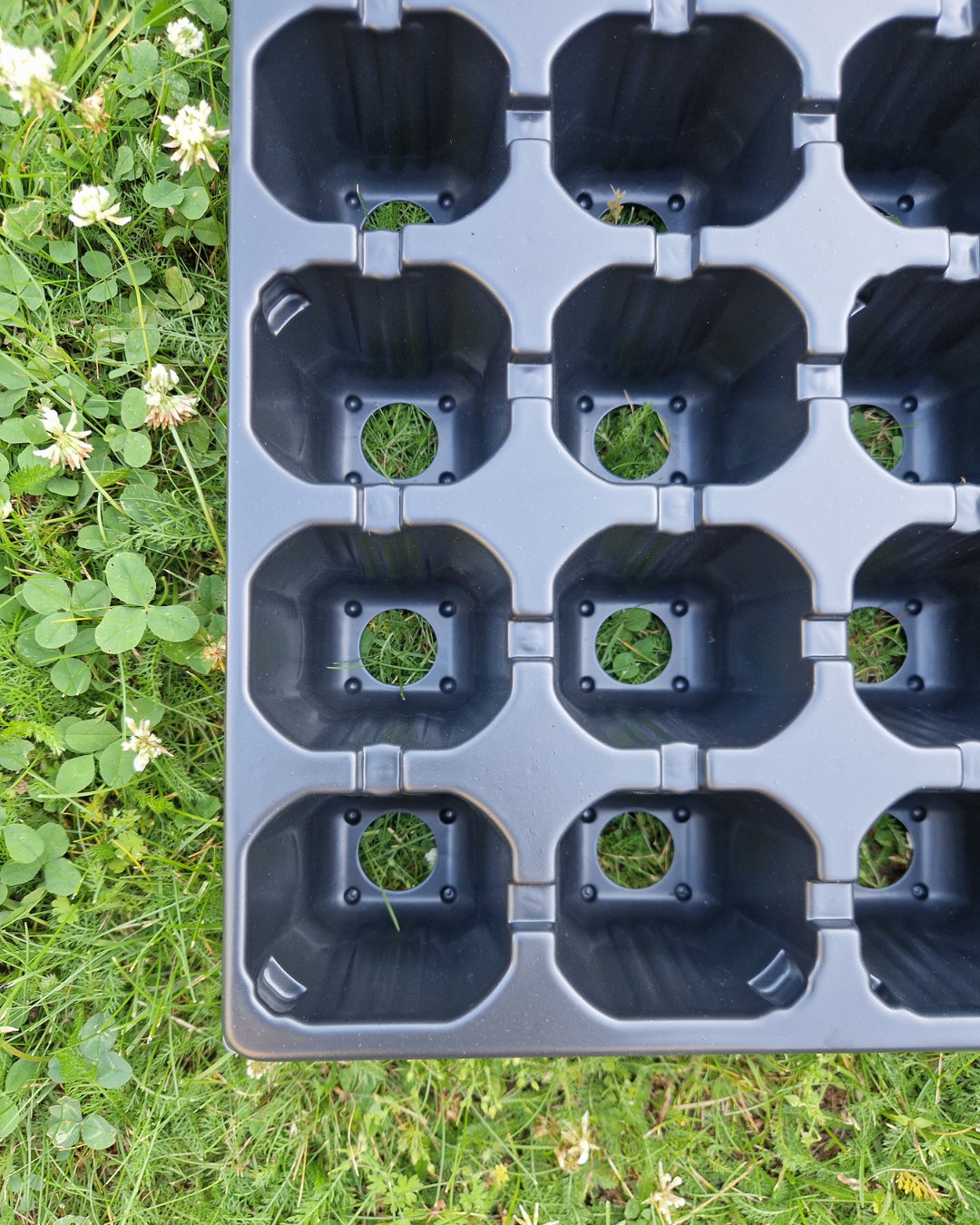 Plantbrätte - 28 celler - Quickpot - Standard