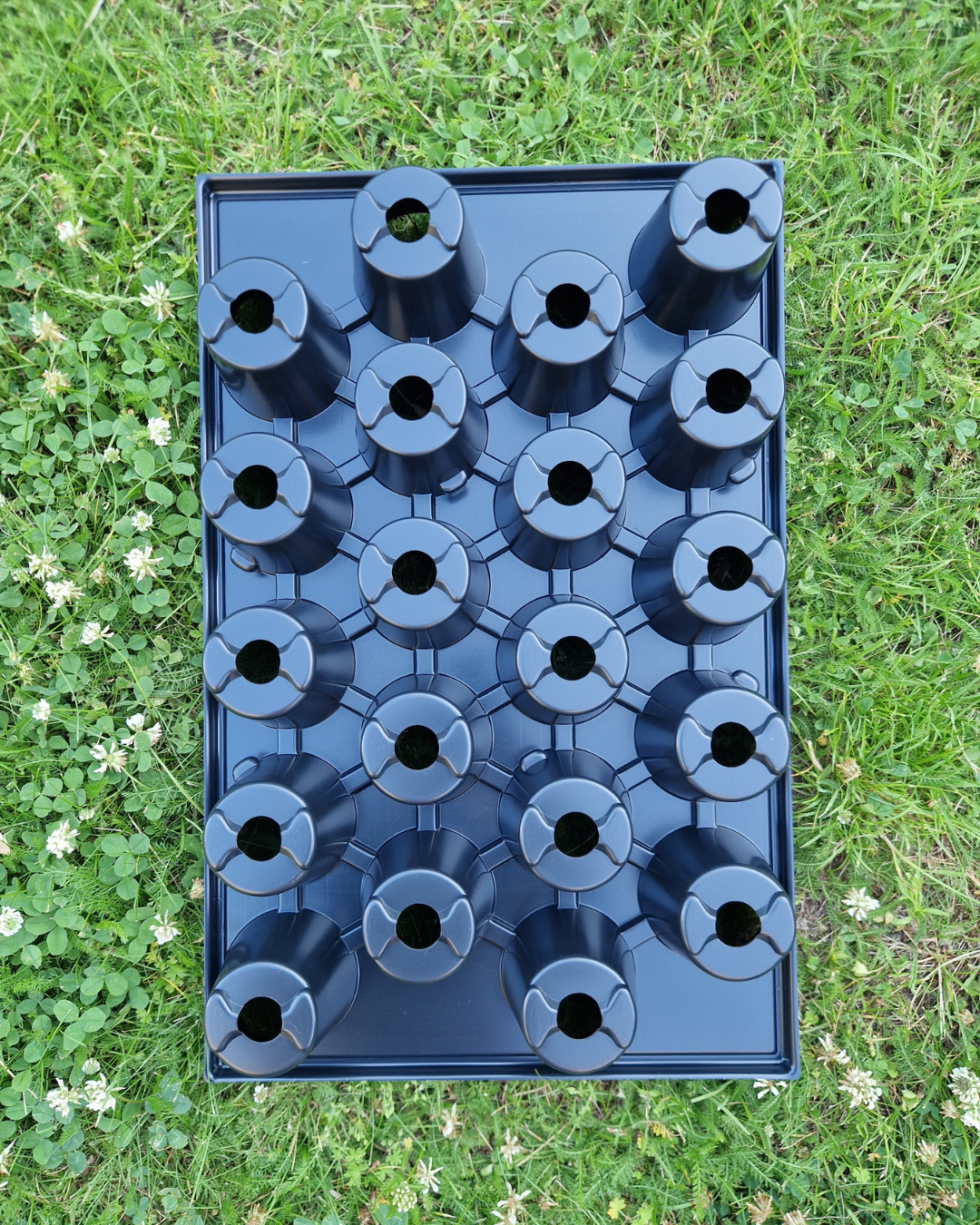 Plantbrätte - 20 celler - Quickpot - Standard - 4