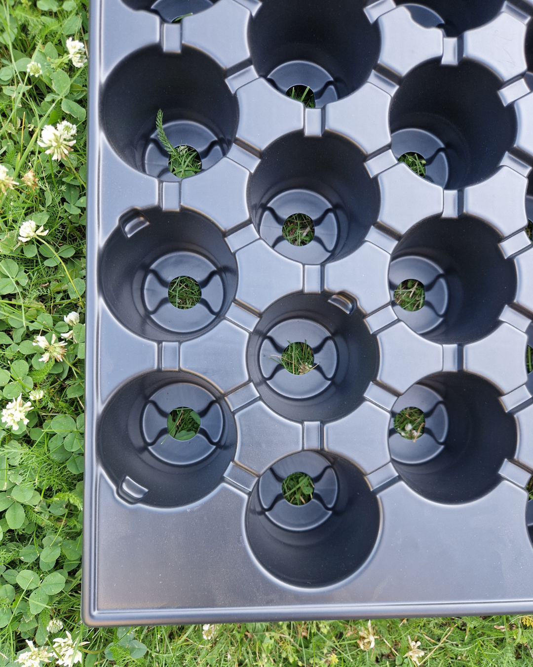 Plantbrätte - 20 celler - Quickpot - Standard