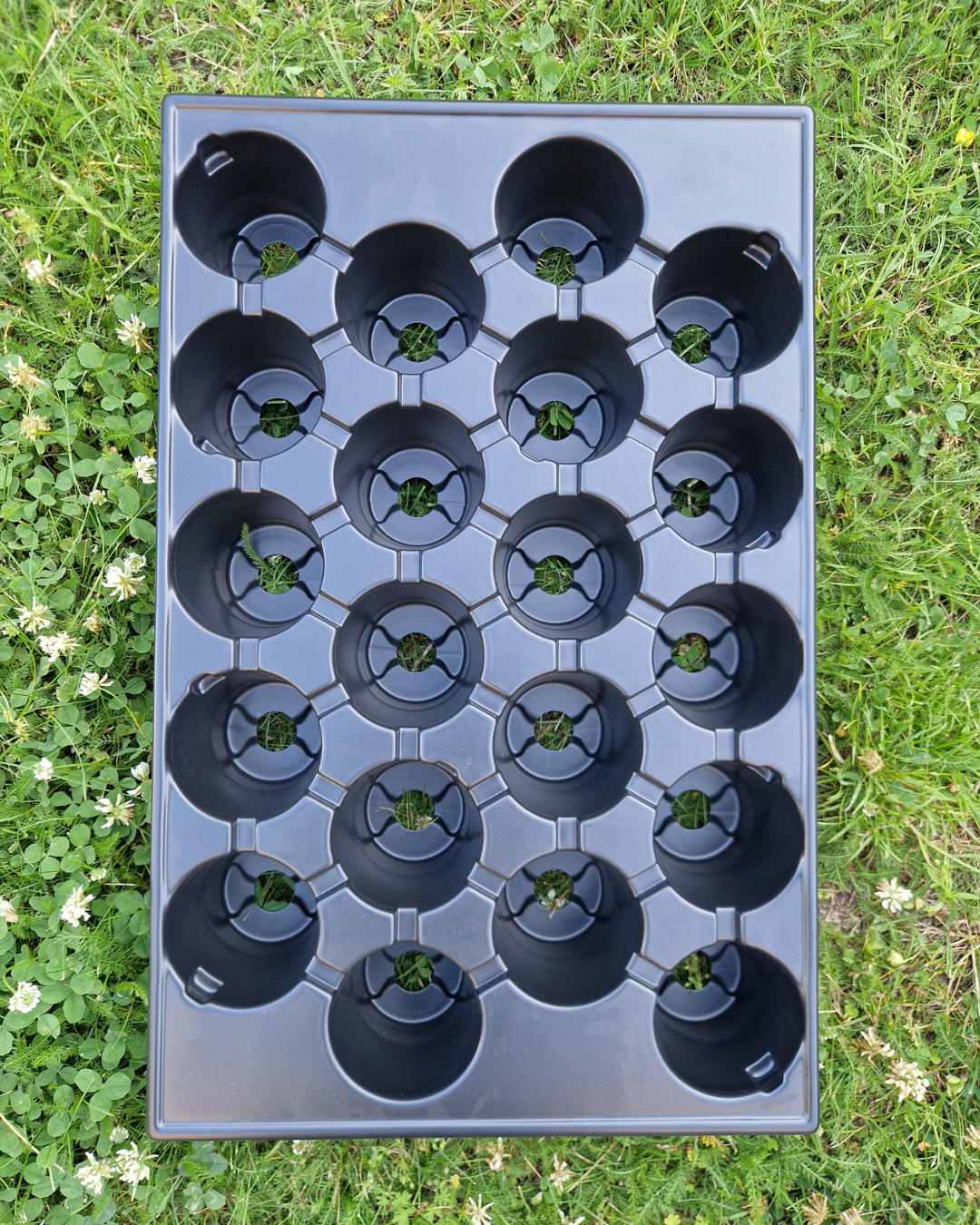 Plantbrätte - 20 celler - Quickpot - Standard