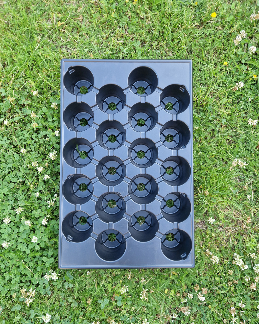 Plantbrätte - 20 celler - Quickpot - Standard - 5