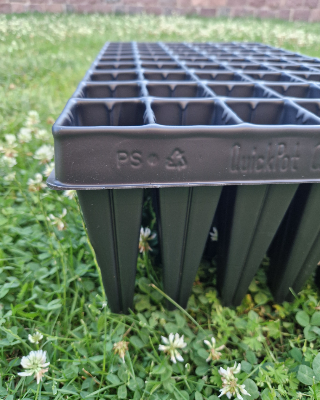 Pluggbrätte - 54 celler - Quickpot