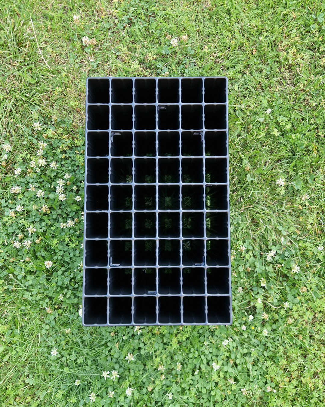 Pluggbrätte - 54 celler - Quickpot - 6