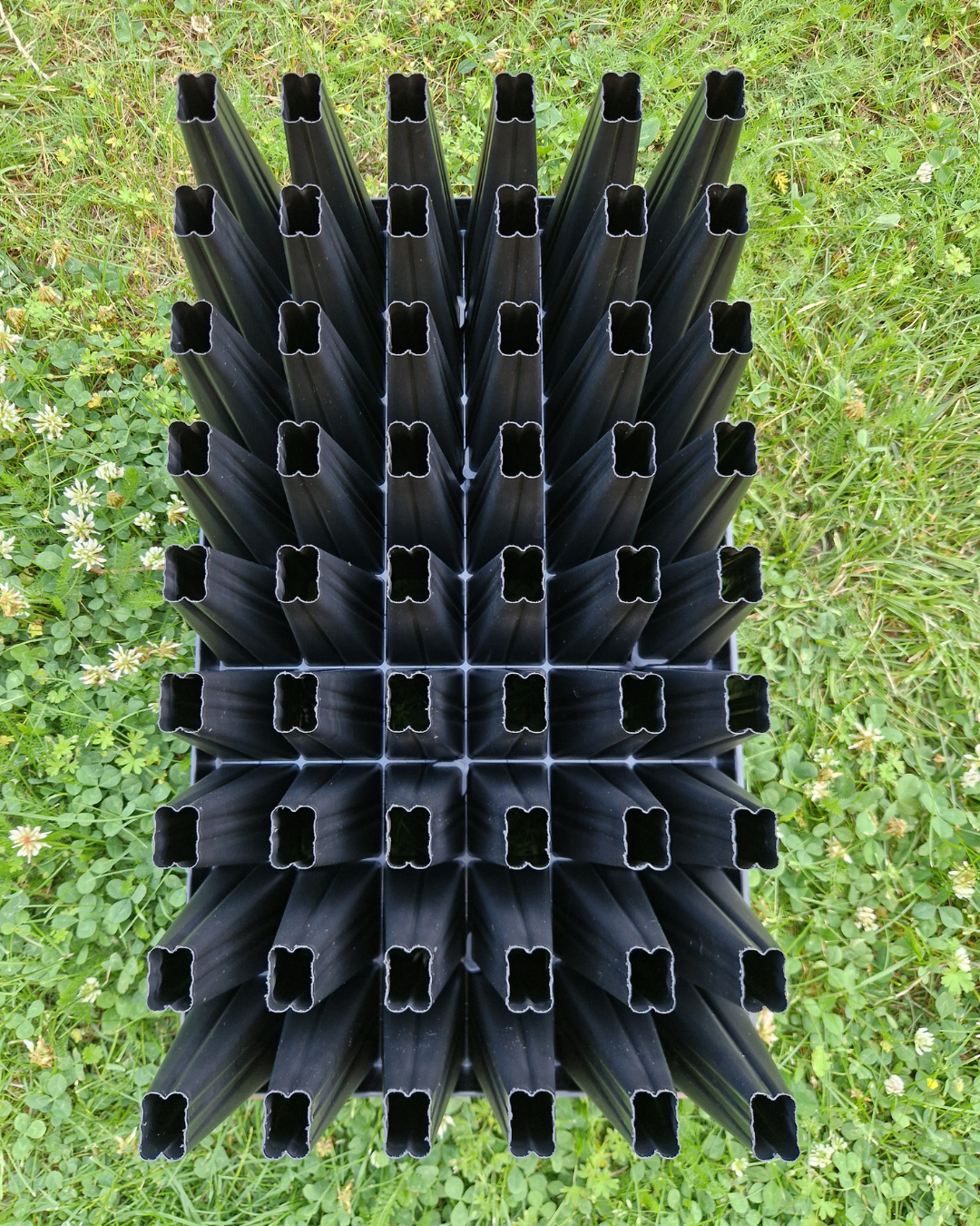 Pluggbrätte - 54 celler - Quickpot - 5