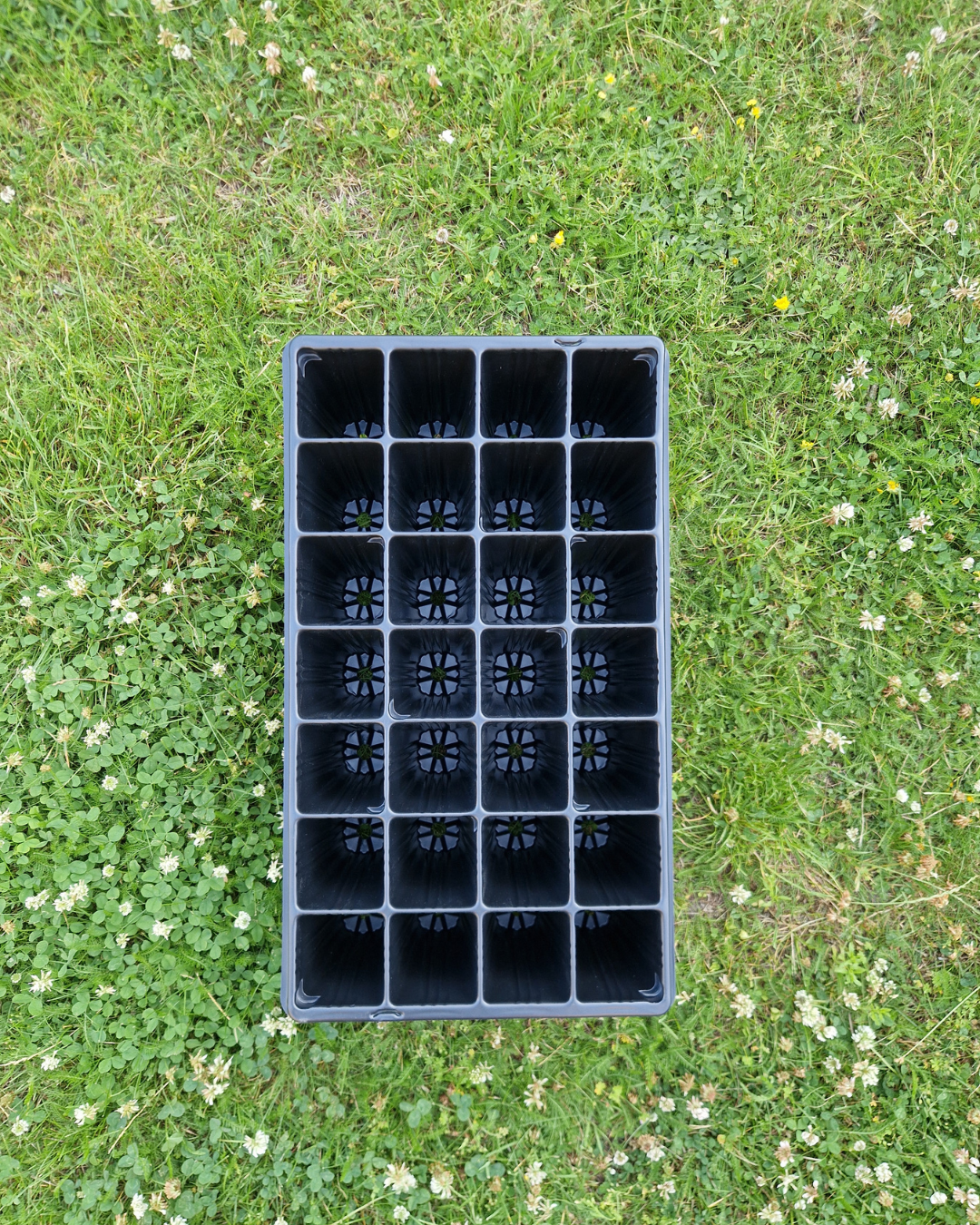 Deep Root Plantbrätte - 28 celler - Quickpot - 4