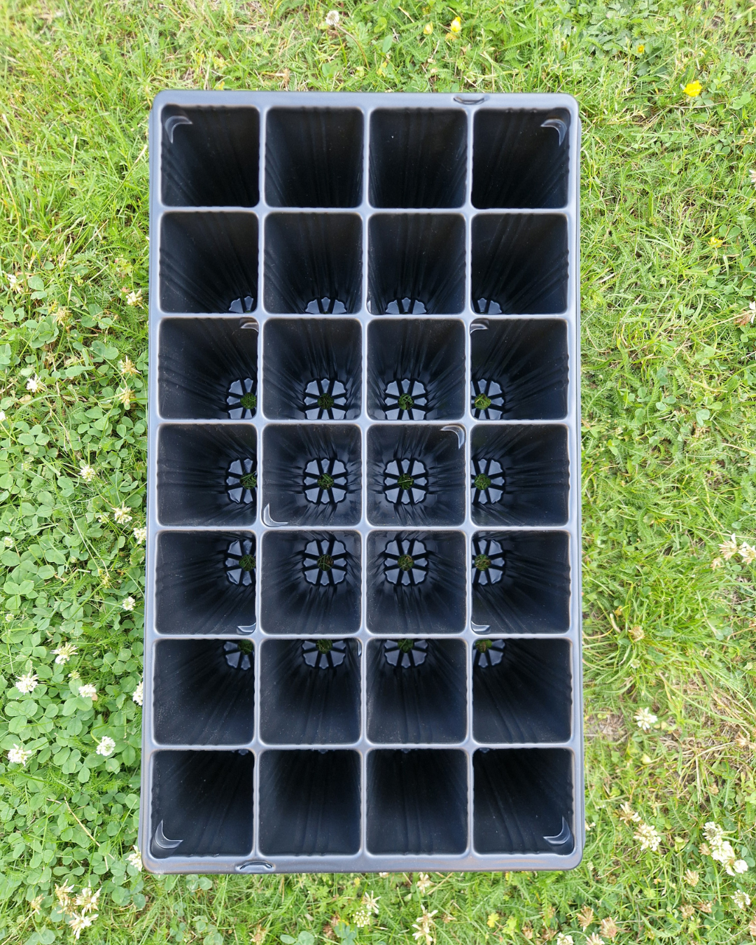 Deep Root Plantbrätte - 28 celler - Quickpot