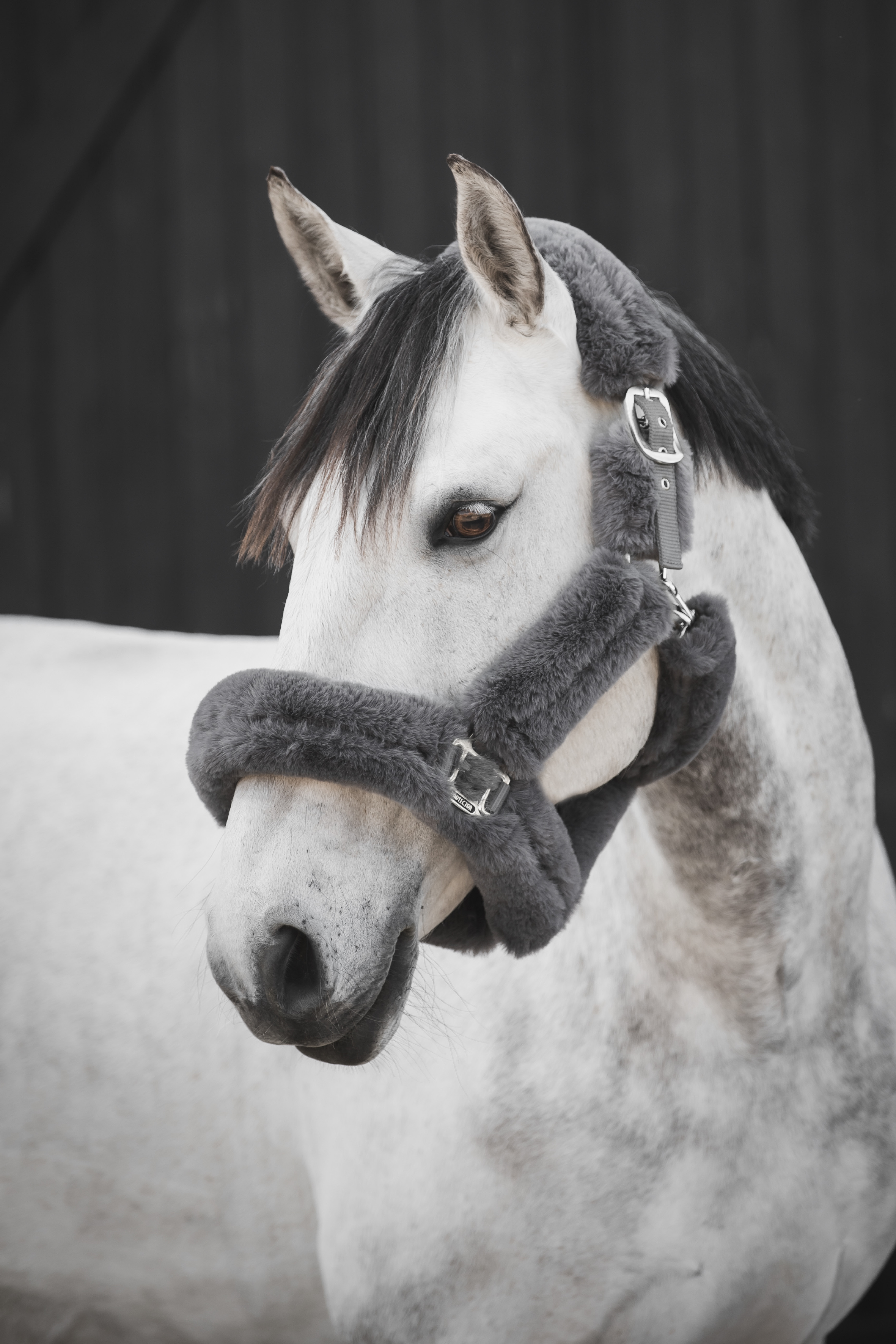 Protector Cozy Halter with Fur - Grey- Soft