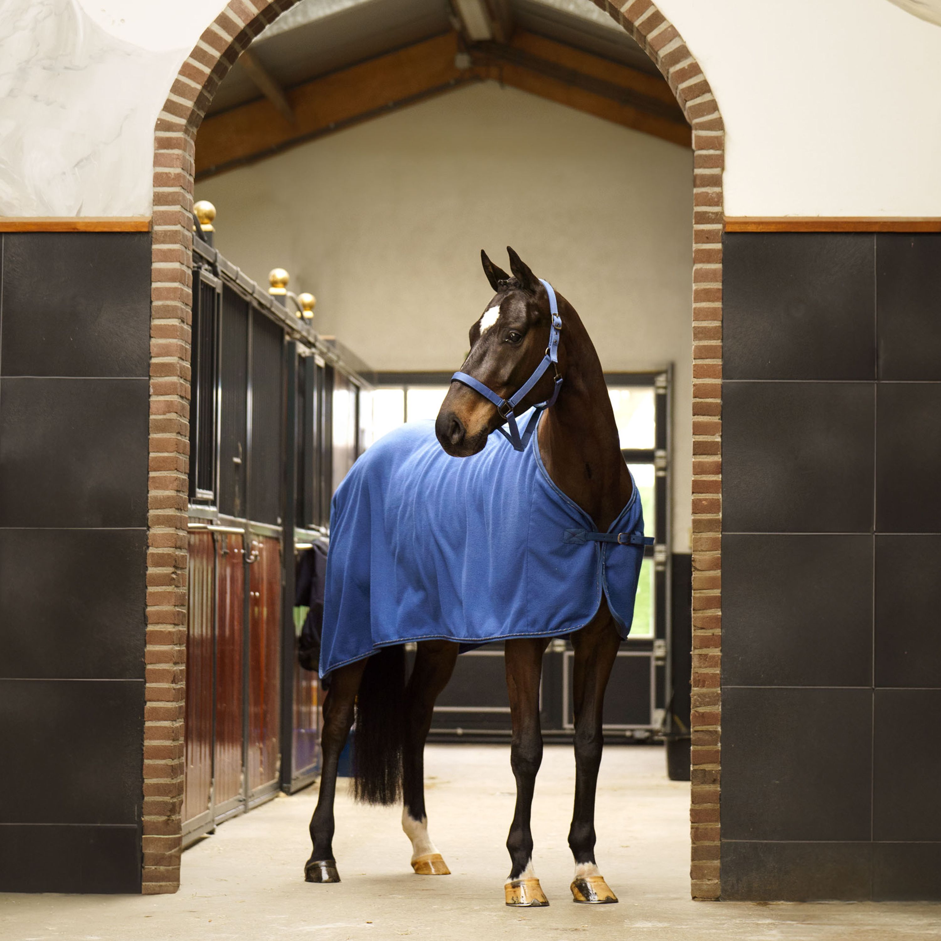 Imperial Riding Fleece Blanket Classic - Sapphire - 4