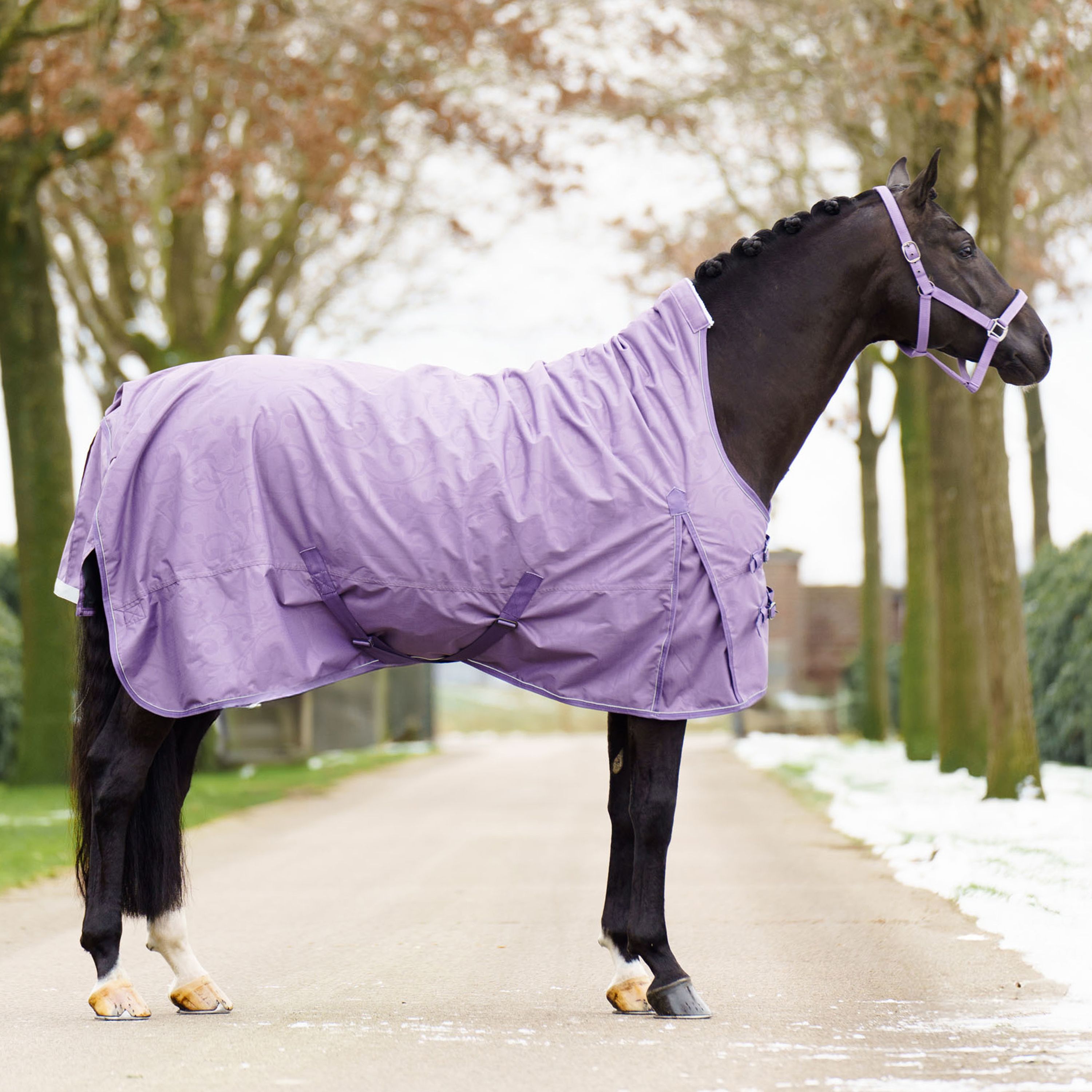Imperial Riding Utetäcke Super-dry 200 g - Amethist (115)