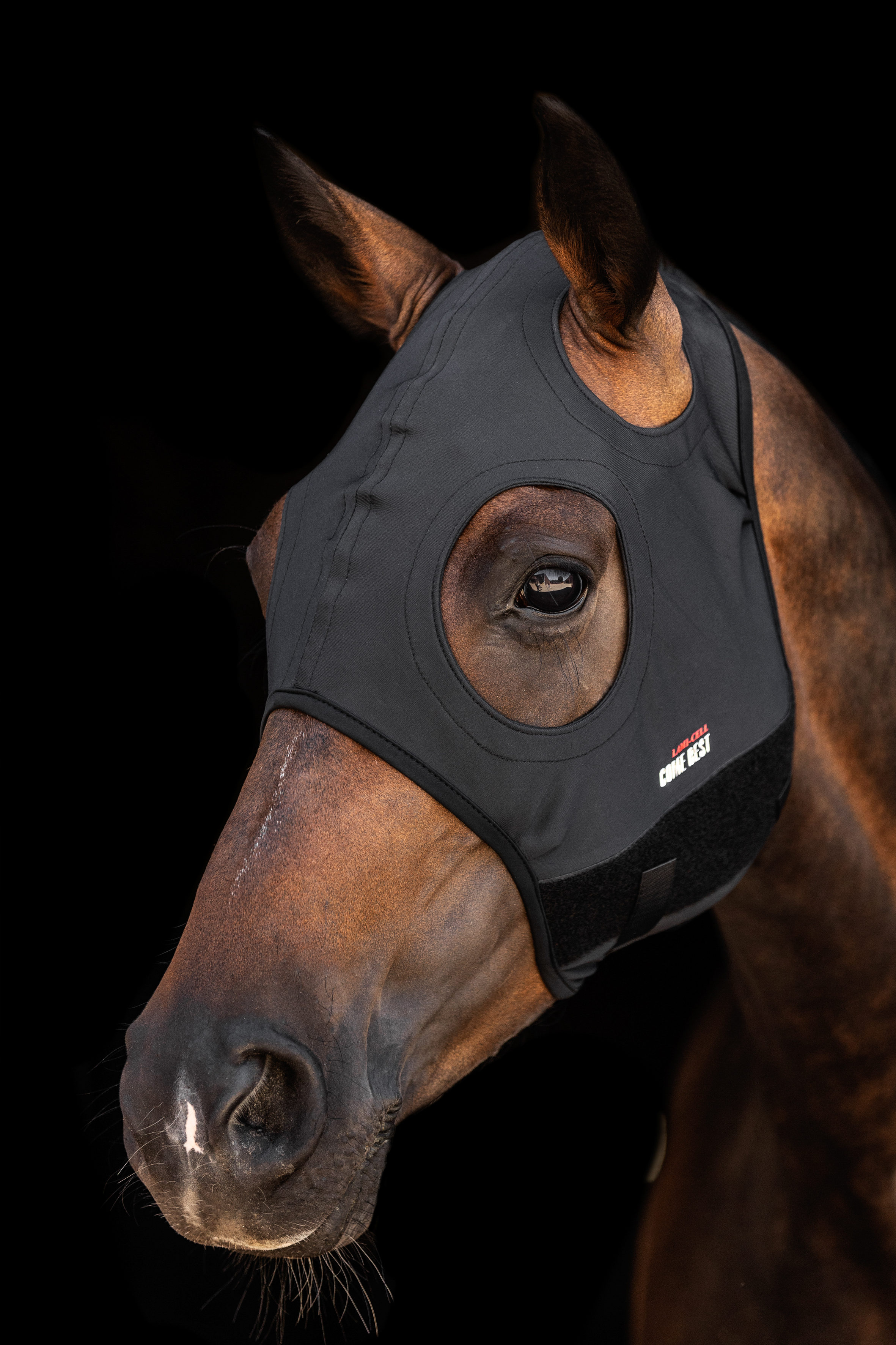 Lami-Cell Titanium Mask Without Ears - Black