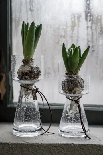 ERNST FORM  Lökvas bubbligt glas 15 cm - 2