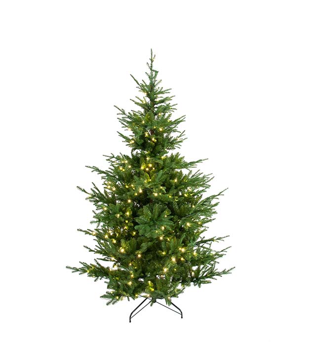 Gran Verde 240 lp 180 cm