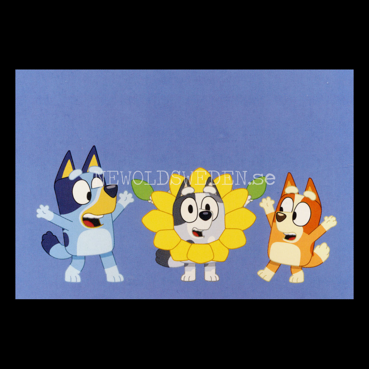 MÅLARSKOJ - BLUEY - Miniböcker - MB270 - 3