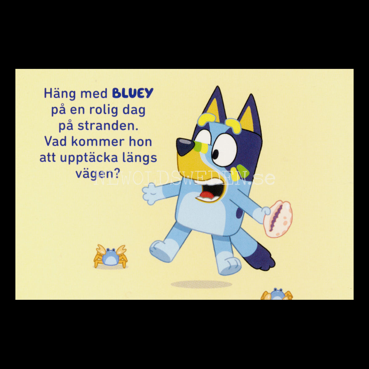 STRANDEN - BLUEY - Miniböcker - MB270 - 3