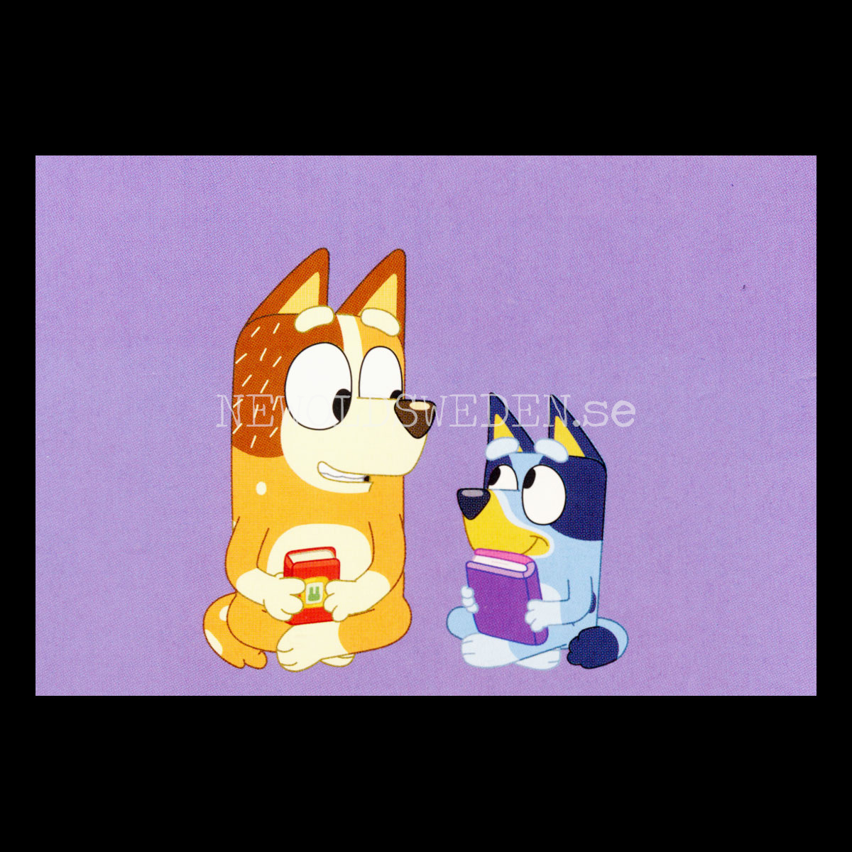 MÅLARSKOJ - BLUEY - Miniböcker - MB271 - 3