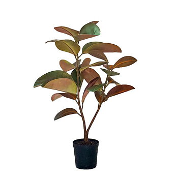 Konstväxt Fikus Elastica 90cm
