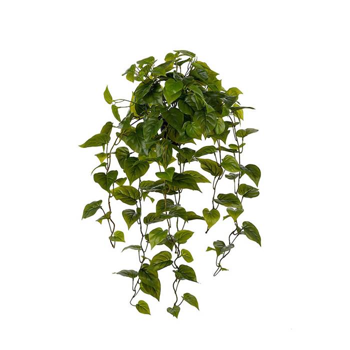 Konstväxt Gullranka 100cm