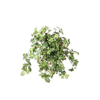 Konstväxt Murgröna 45cm