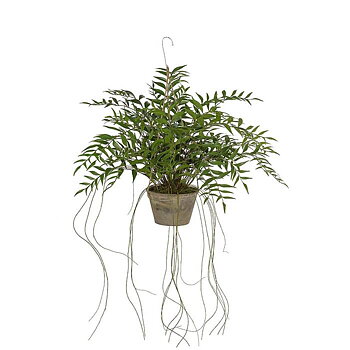 Konstväxt Hoya 65cm