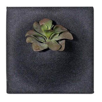 Ljudabsorbent slate 58*58*21cm