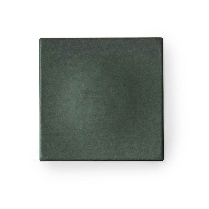 Ljudabsorbent, moss  58*58*6cm