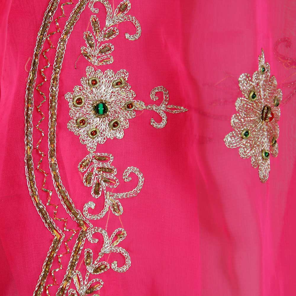 Ceriserosa Rajastani Sari - 2