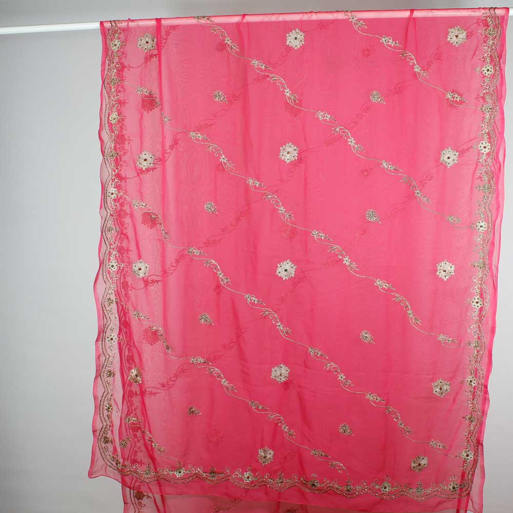 Ceriserosa Rajastani Sari - 5