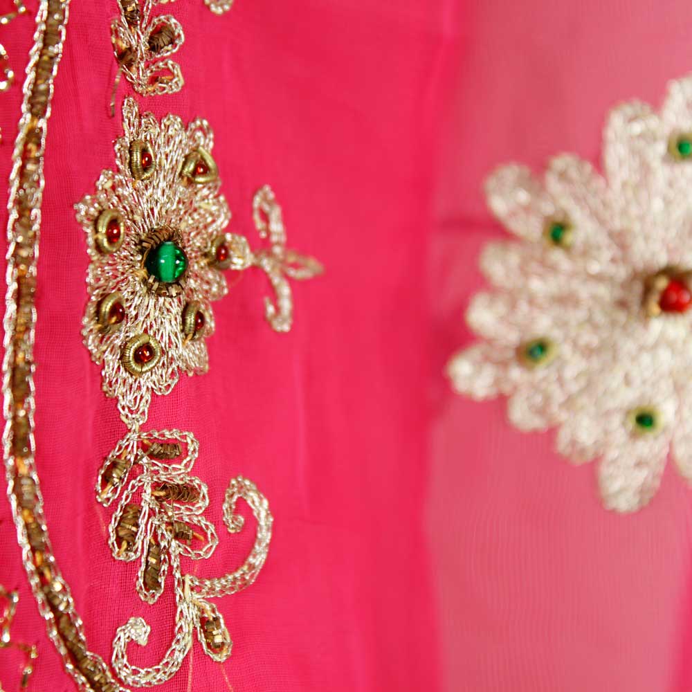 Ceriserosa Rajastani Sari - 7