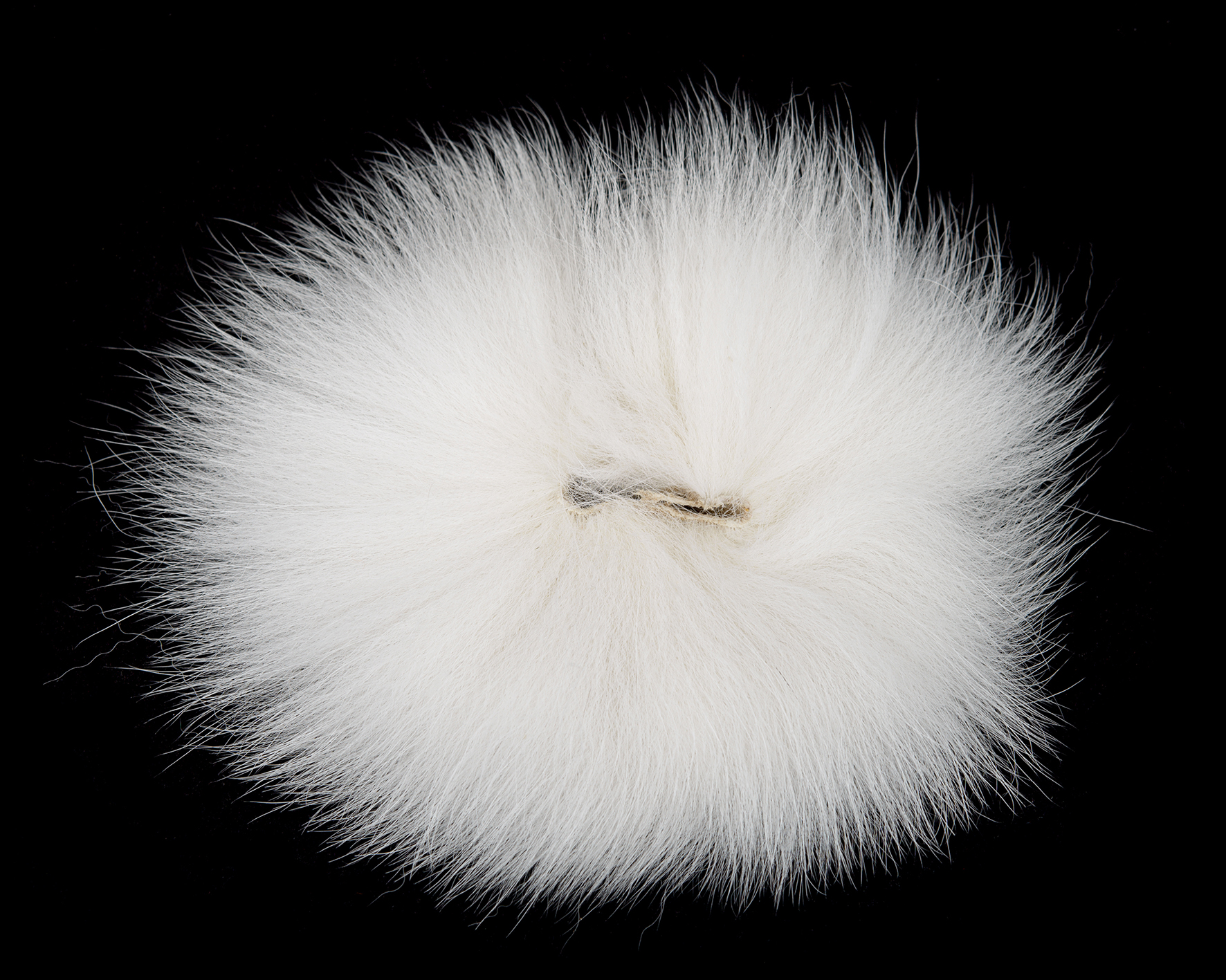 Fly-Dressing’s Arctic Fox - 2