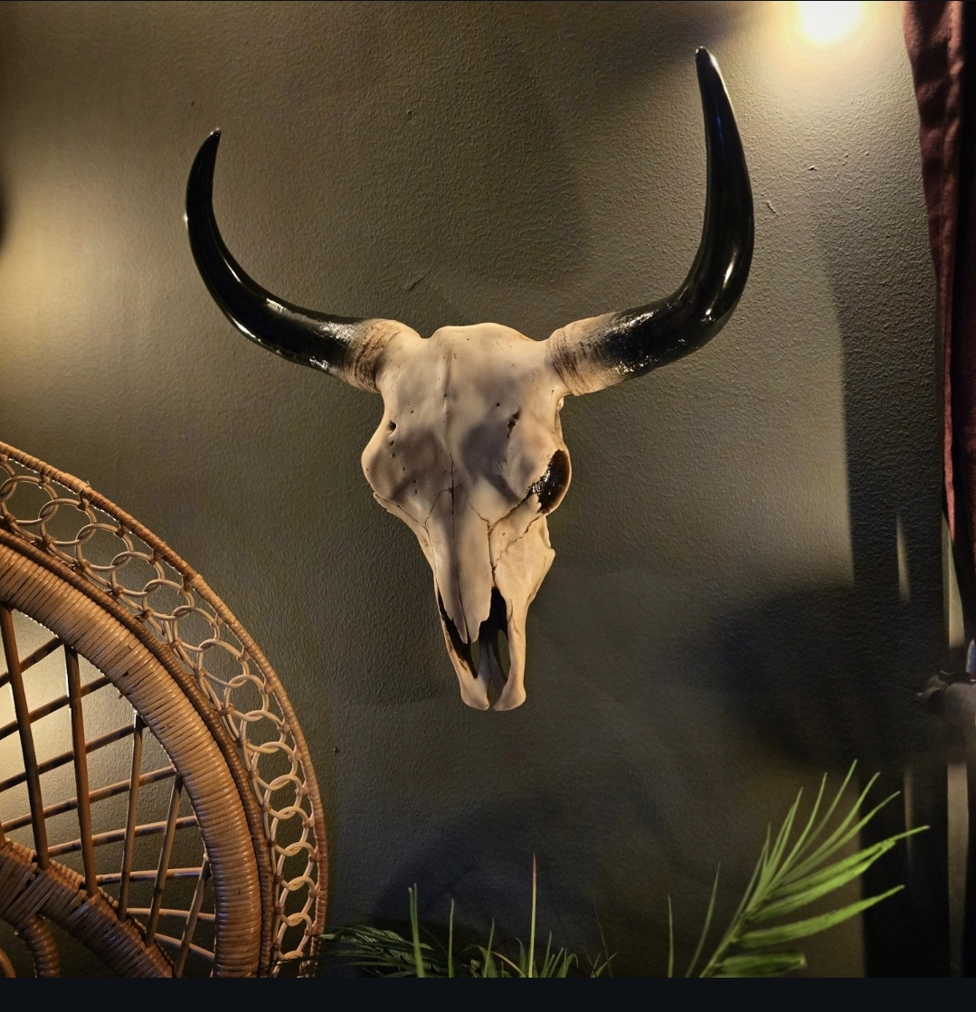Texas Longhorn - Väggdekoration