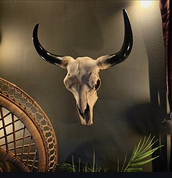 Texas Longhorn - Väggdekoration
