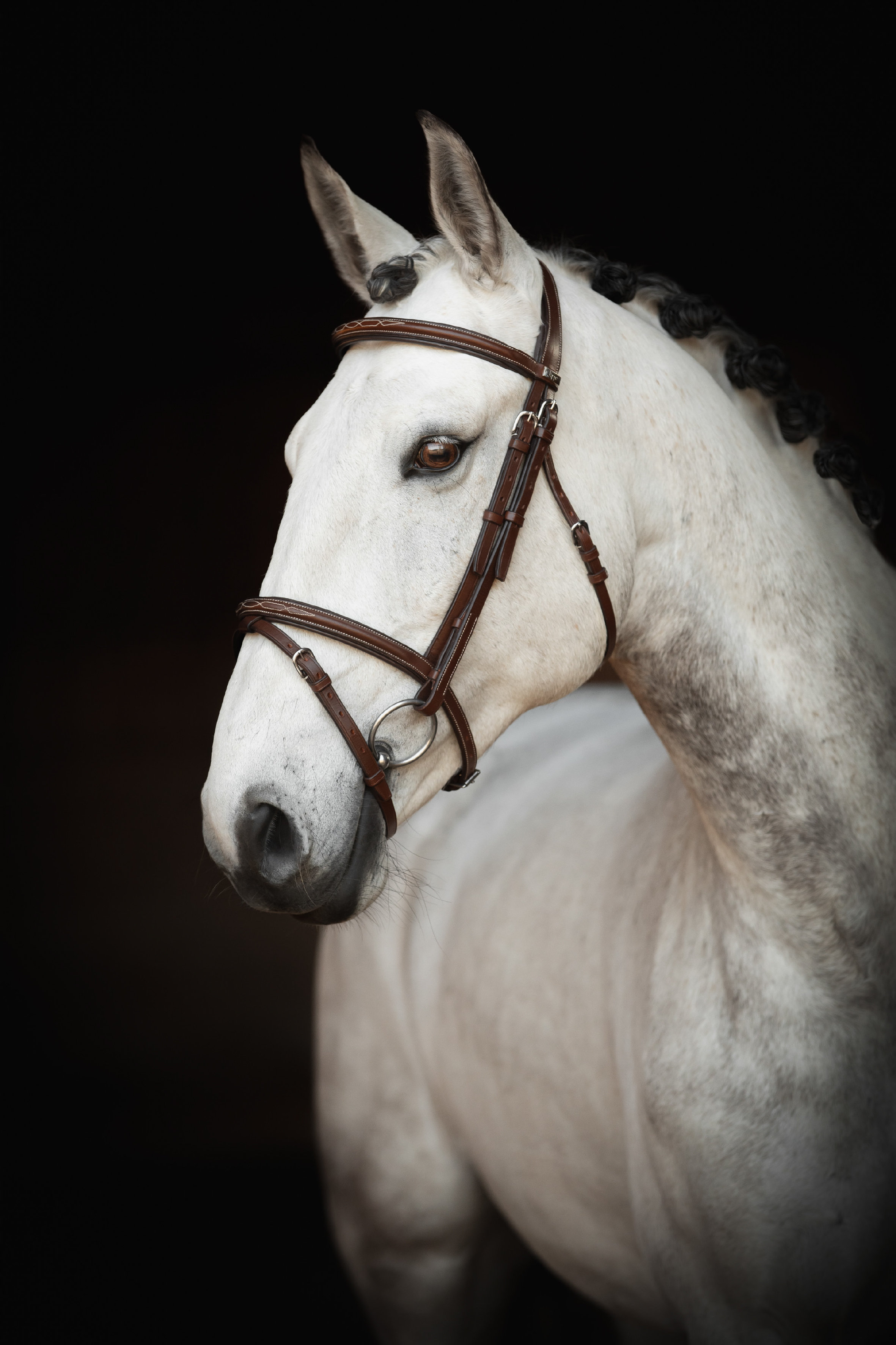 Lippo Bridle Selected Fancy Slim - Oakbark/Silver Buckles - Anatomical