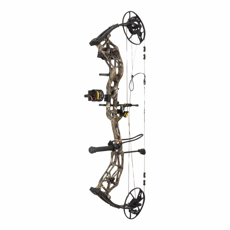 Bear Paradigm XT RTH