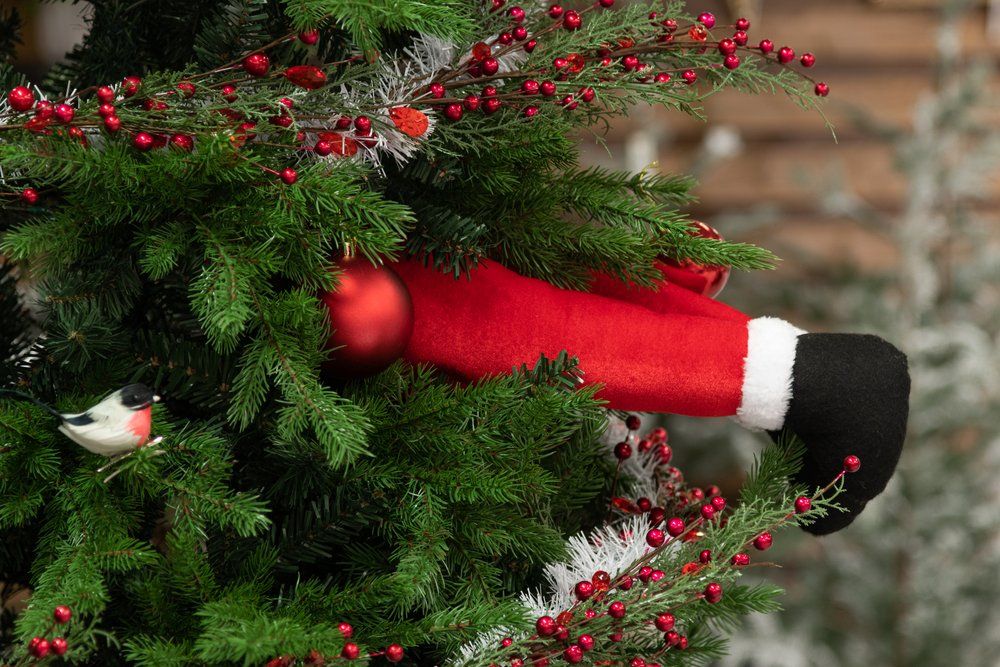 Tomte ben - 3
