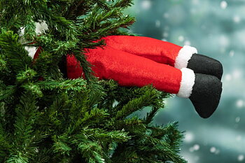 Tomte ben